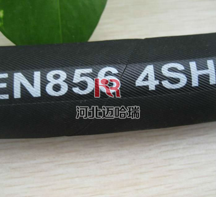 տEN856-4SH